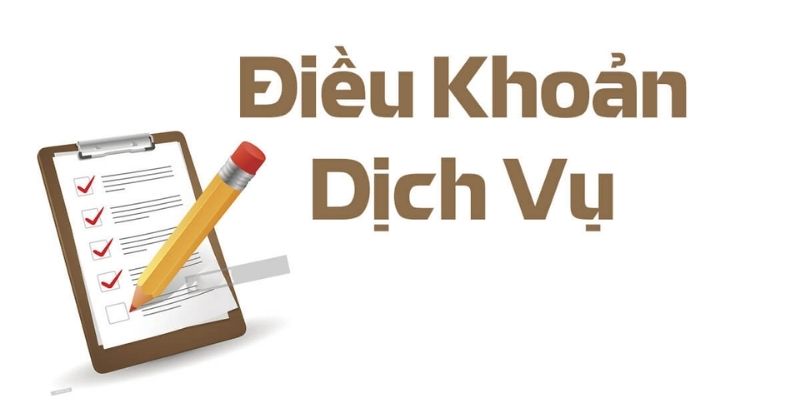 Điều khoản về thông tin chính xác